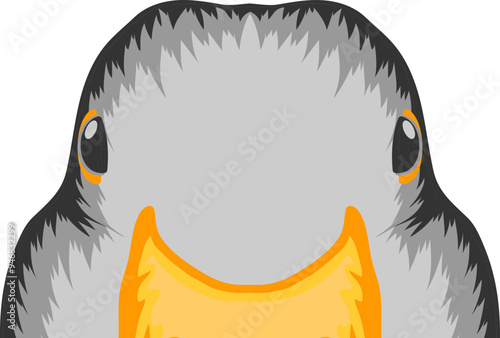 Duck Face Peeking Color