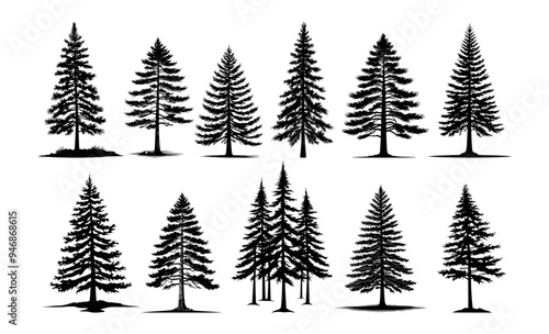 Set of pine trees