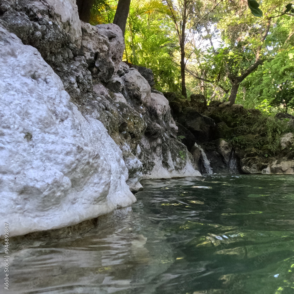 hermoso paisaje natural con agua cristalina de manantial en bosque tropical.