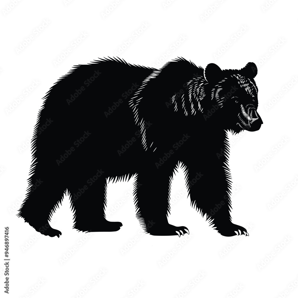 Fototapeta premium Black and white illustration of a bear standing against a white background.