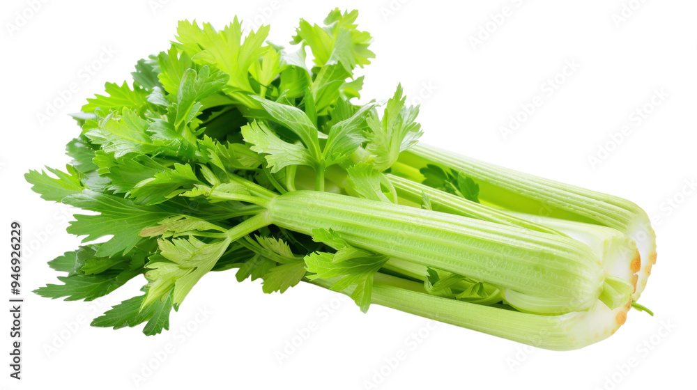 Celery isolated on white background Celery isolated on white background