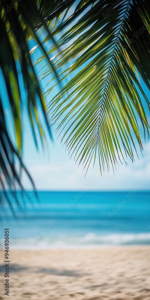 Beautiful defocused beach background framed by palm trees Beautiful defocused beach background framed by palm trees