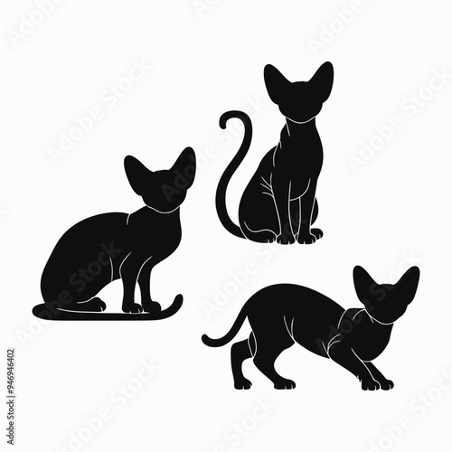 Sphynx Cat Silhouette Vector Set Animals Illustration Template