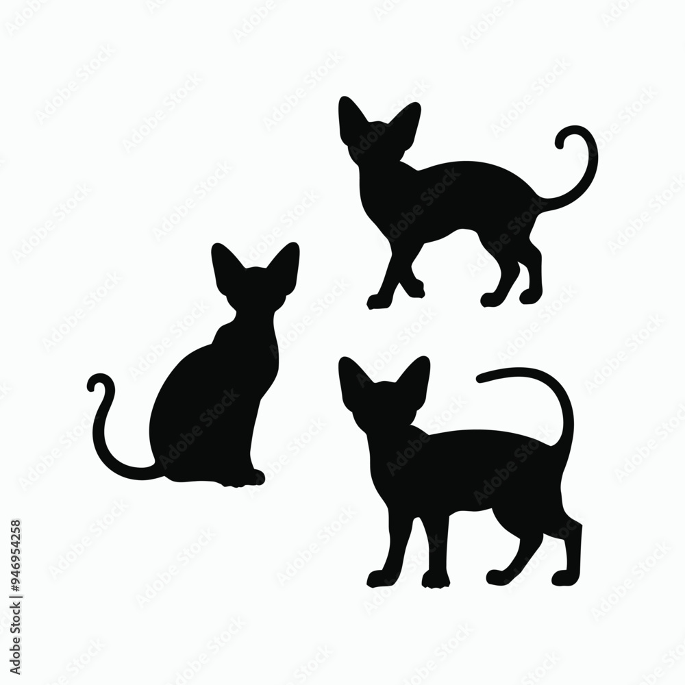 Sphynx Cat Silhouette Vector Set Animals Illustration Template Sphynx Cat Silhouette Vector Set Animals Illustration Template