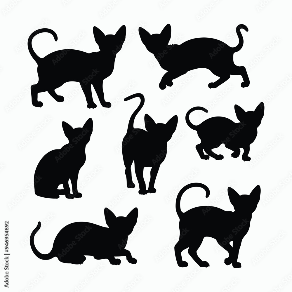 Sphynx Cat Silhouette Vector Set Animals Illustration Template Sphynx Cat Silhouette Vector Set Animals Illustration Template