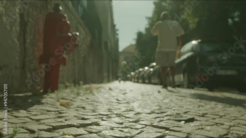 An old woman with a dog walks along the paving stones