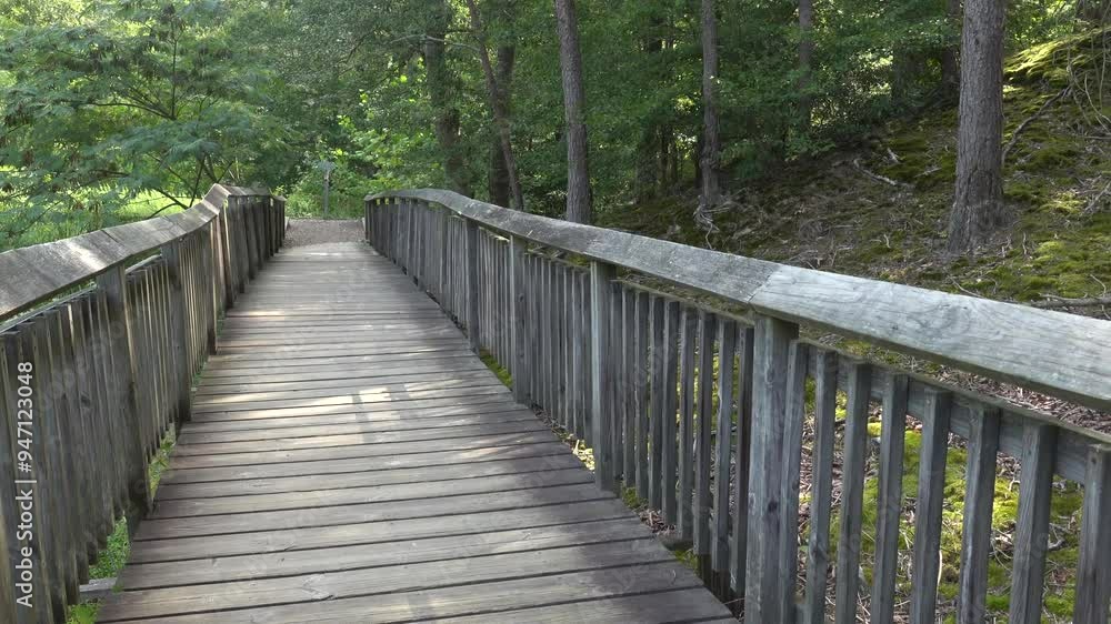 Solomons, Maryland, USA A boardwalk and wetlands scenery in the Calvert Cliffs State Park and the Grays Creek on the Chesapeake Bay. Solomons, Maryland, USA A boardwalk and wetlands scenery in the Calvert Cliffs State Park and the Grays Creek on the Chesapeake Bay.