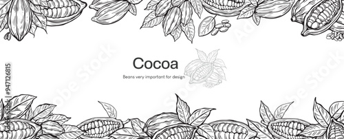 Cocoa design template vector illustration. Line art  vintage sketches of cacao beans, nuts and plants, organic cocoa,