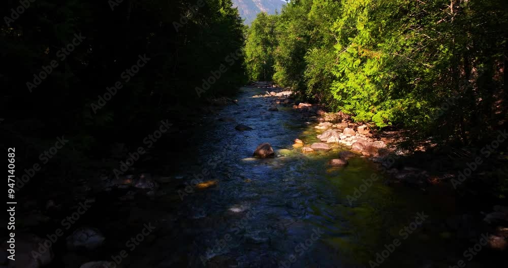 North Cascades Park Calm River and Trees Aerial View North Cascades Park Calm River and Trees Aerial View