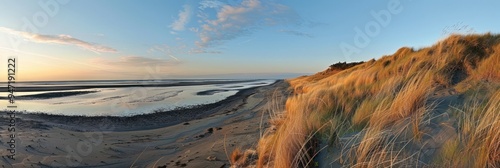 Golden Hour on a Coastal Dune