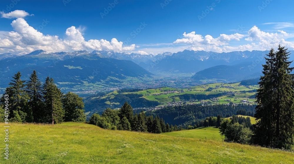 Mountain View from Grassy Field Mountain View from Grassy Field