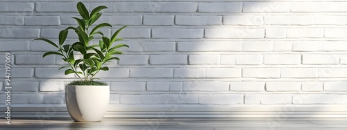 White Brick Wall with Potted Plant in Minimalist Home Interior