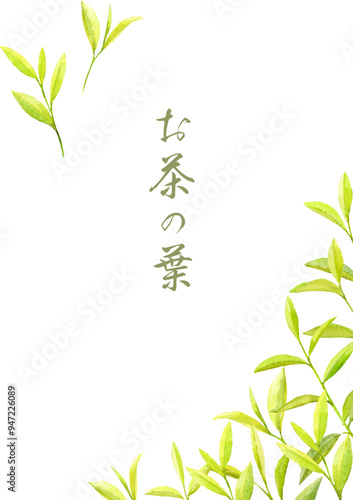 水彩で描いたお茶の葉のフレーム飾り