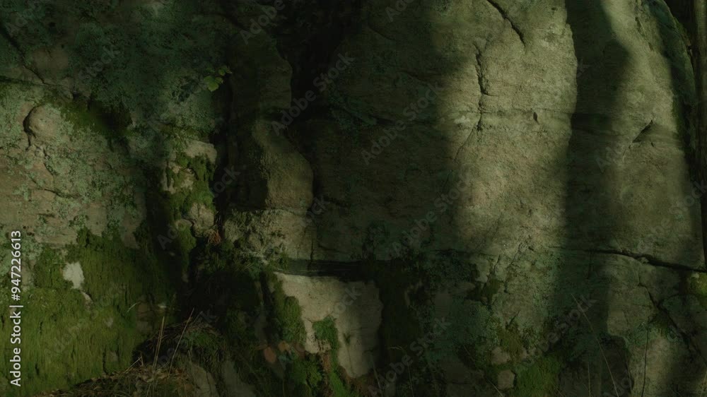 Stone Cave Rocks In Green Moss Covered Forest Landscape Stone Cave Rocks In Green Moss Covered Forest Landscape