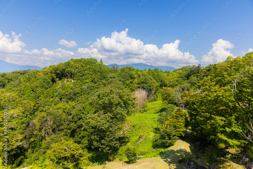 Obraz premium 苗木城跡からの眺望