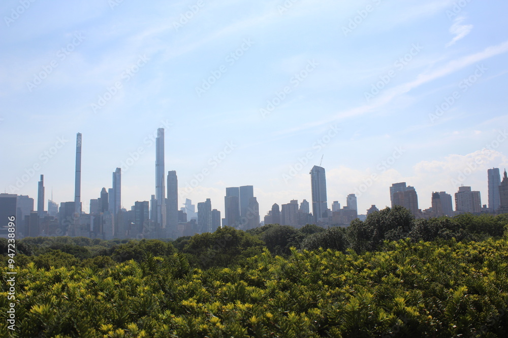 Obraz premium New York skyline