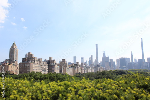 New york city skyline view from the met museum