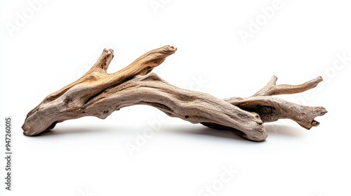 Photograph of driftwood for an aquarium on a white background,