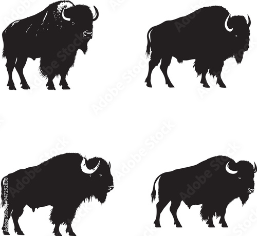 Bison vector silhouette