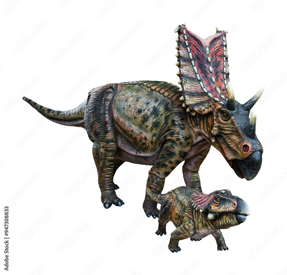 Mother Chasmosaurus and baby Chasmosaurus are herbivore genus of ceratopsid dinosaurs from the Cretaceous Period. Mother Chasmosaurus and baby Chasmosaurus have a transparent background. Mother Chasmosaurus and baby Chasmosaurus are herbivore genus of ceratopsid dinosaurs from the Cretaceous Period. Mother Chasmosaurus and baby Chasmosaurus have a transparent background.