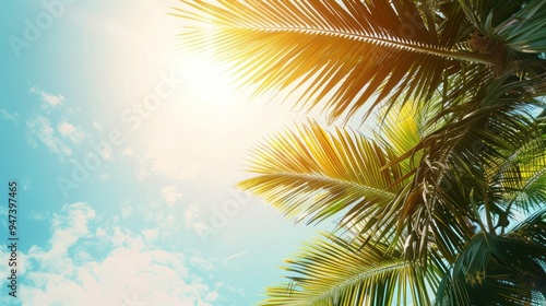 Tropical Paradise: Palm Trees and Sunlight