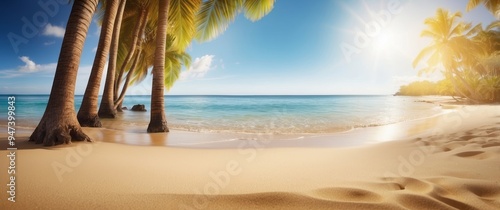 Palm Trees Framing a Tropical Beach with Sun Shining Brightly