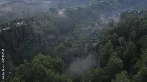 Beautiful landscape of mountain view and tropical rain-forest. Concept of green natural virgin forest. photo