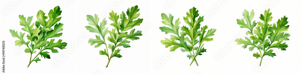 Fresh green leaves in various shapes and sizes, showcasing vibrant colors and intricate details. Perfect for nature themed designs. Fresh green leaves in various shapes and sizes, showcasing vibrant colors and intricate details. Perfect for nature themed designs.