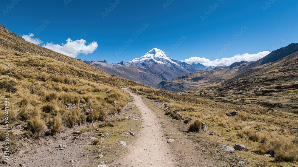 Mountain Trail Leading to Snowy Peak in the Andes Mountain Trail Leading to Snowy Peak in the Andes