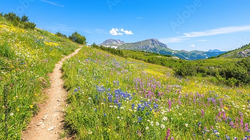 Hiking Trail Through Wildflower Meadow with Mountain Views