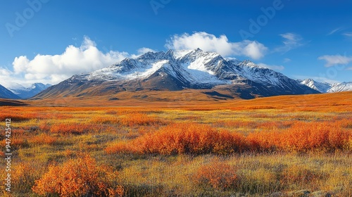 Scenic landscape showcasing the vibrant beauty of autumn in the alaskan wilderness