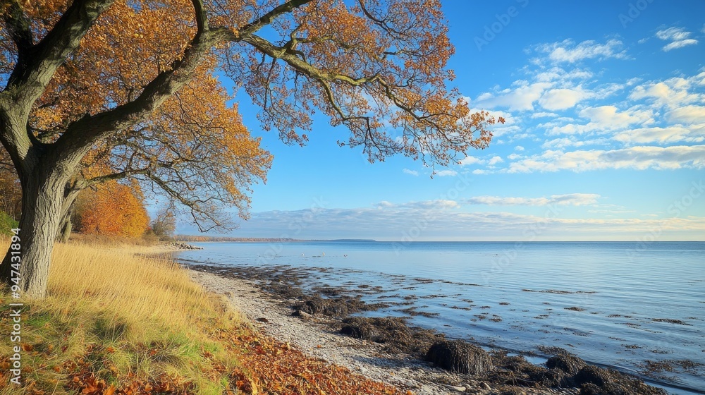 A picturesque scenery of a calm sea and blue sky captured from a shore with autums trees A picturesque scenery of a calm sea and blue sky captured from a shore with autums trees