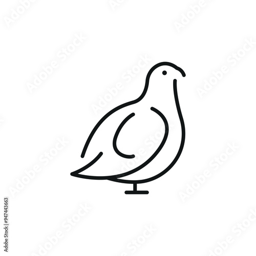Quail icon. Simple quail icon for social media, app, and web design. Vector illustration.
