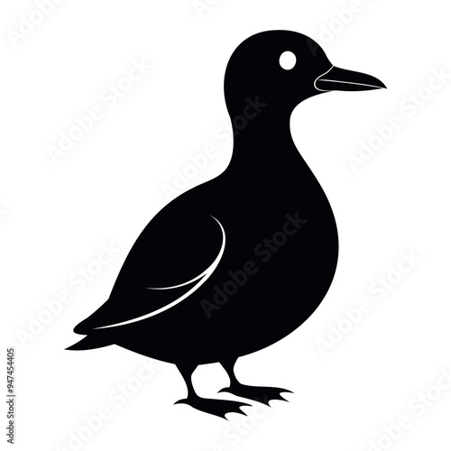 Parakeet auklet Black silhouette isolated on a white background, Duck silhouettes, vector collection photo