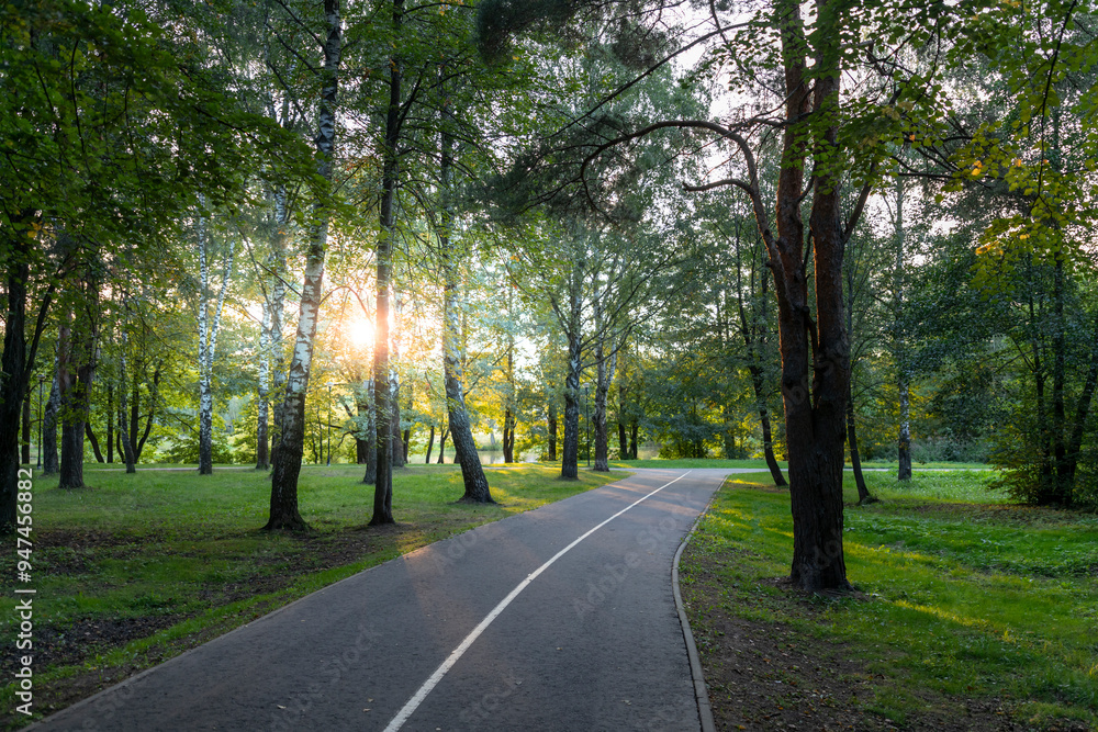 A road with trees on both sides and a sun shining on it A road with trees on both sides and a sun shining on it