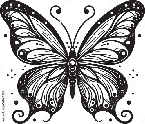 black and white butterflies
