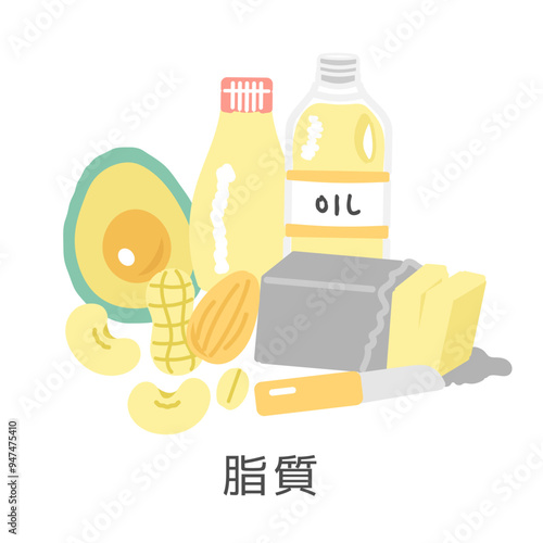脂質を含む食品　イラストセット