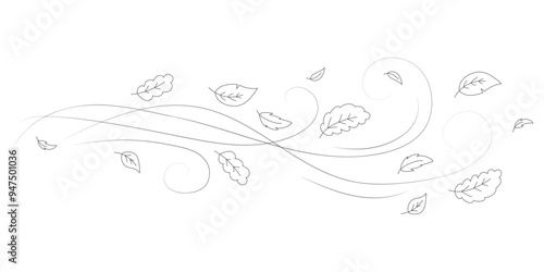 Doodle autumn leaves flying in the wind. Falling season outline backdrop, air flow leaves wave linear pattern or wind blowing doodle vector print. Autumn windy weather hand drawn monochrome background