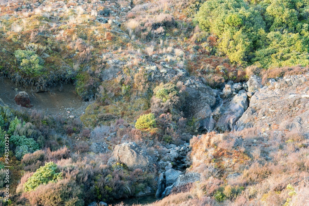 overgrown rocks in the mountains overgrown rocks in the mountains