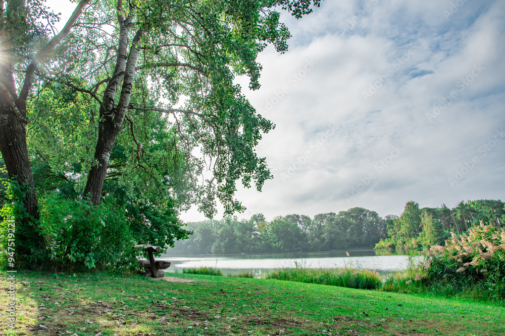 Fototapeta premium Ingolstadt, Auwaldsee, schöner Sommerblick im Park am See