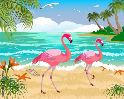 Flamingo on a tropical beach.Flamingos, palms and seashells on the seashore in color vector illustration.