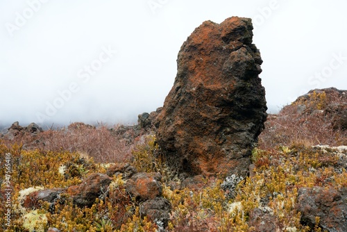 Big Rock on the mountain photo