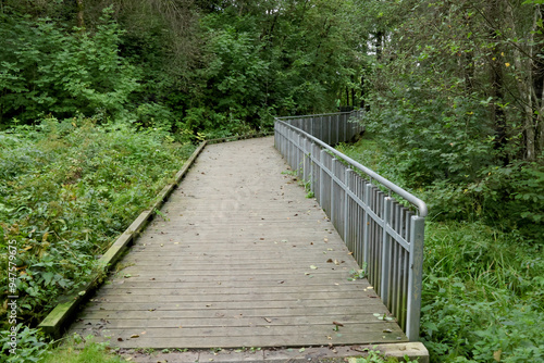 Photography Pathway,