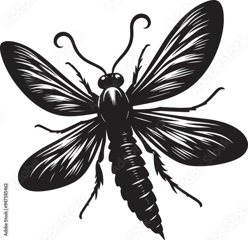 Beautiful firefly insect silhouette illustration isolated on a white background