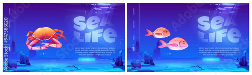 Sea life website templates set. Vector cartoon illustration of zoo, seafood shop, nature conservation project landing page with crab and fish swimming deep on ocean bottom, water bubbles and sunlight