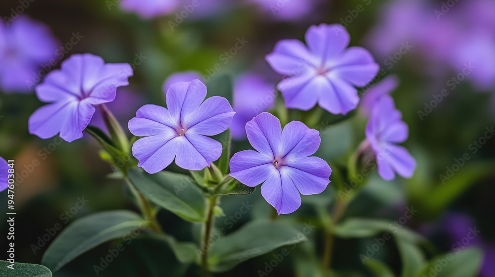 Elegant flowers blooming in vibrant Elegant flowers blooming in vibrant