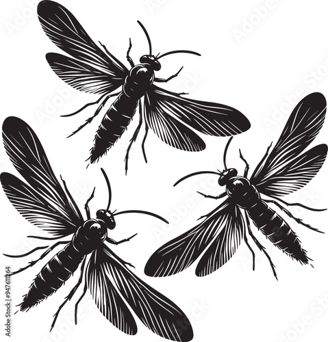 Beautiful firefly insect silhouette illustration isolated on a white background