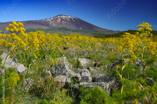 Foto Smoking Etna Volcano (3369m) in Sicily, Italy, Europe