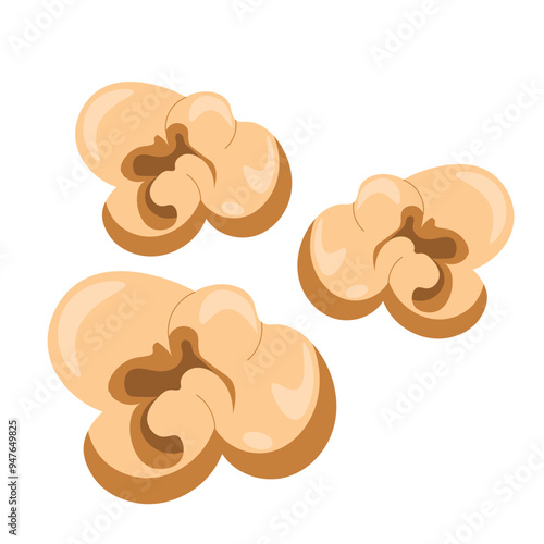 Popcorn Kernel
