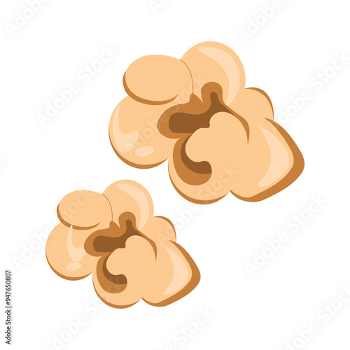 Popcorn Kernel